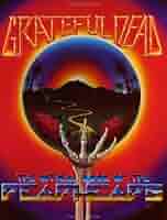 GREATFUL DEAD パンフレット Dead Days: A Grateful Dead Illustrated History: Greene, Herb
