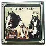 Heavy Horses [Vinyl]