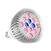 OxyLED LED Grow Light Bulb, Hydroponic Plant Grow Lights for Greenhouse (E26 12W 3Blue/9 Red LEDs)