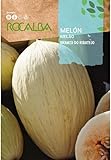 HORTALIZAS MELON BRANCO DO RIBATEJO