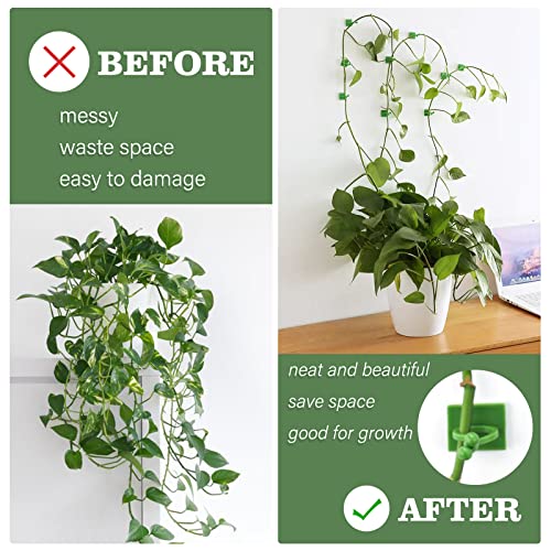 Kinglake Garden Plant Climbing Wall Fixture Clips,100 Pcs Garden Clip Plant Vine Wall Clips,Plant Climbing Wall Fixture Clips Climbing Plant Wall Clips Vine Clips For Climbing And Hanging Plants #TOP4