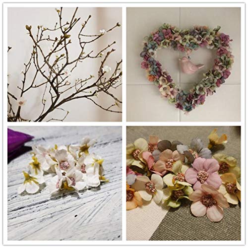 Multicolore Testa di Fiore Margherita Margherita