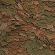 Tropical Cichlid Color Flakes XXL, 1er Pack (1 x 1 l)