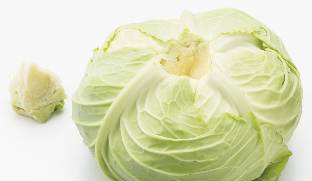 キャベツさま専用 Amazon.co.jp: [Be:striata] MITSUBISHI(三菱）互換品