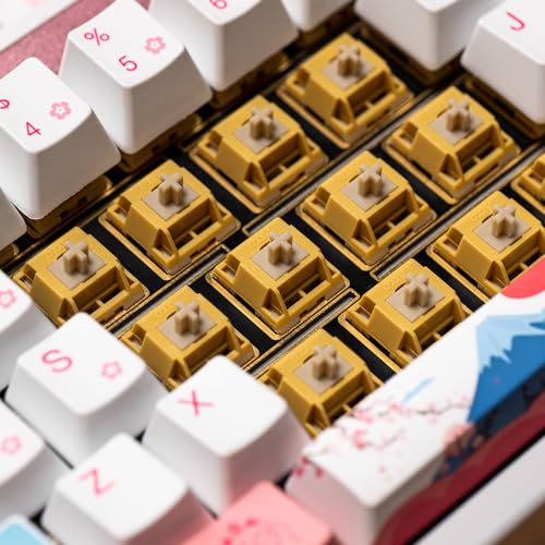 Image of Akko Bittersweet Tactile Keyboard Switch for Mechanical Gaming Keyboard, 5-Pin 48gf Pre-Lubed Switches with Standard MX Structure (45pcs)