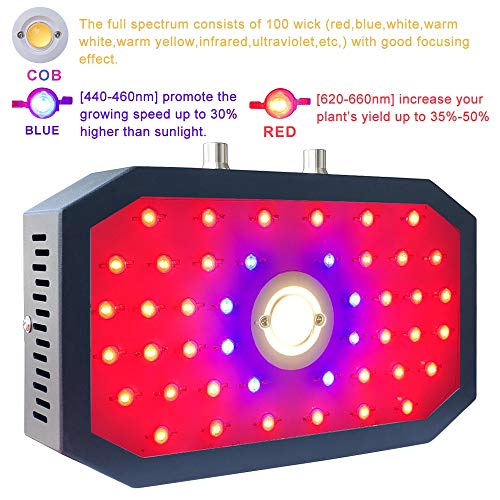 Ofadd Led Grow Light For Indoor Plants, 1000W Plant Growing Lamp With Dual Led Chips And Adjustable Coverage, Full Spectrum Plant Light For Seedling, Greenhouse, Hydroponic And Flowers #TOP1