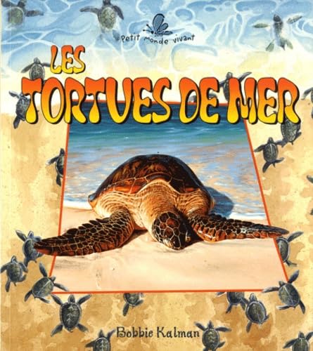 TORTUES DE MER (LES): TORTUES DE MER (LES) KALMAN , BOBBIE
