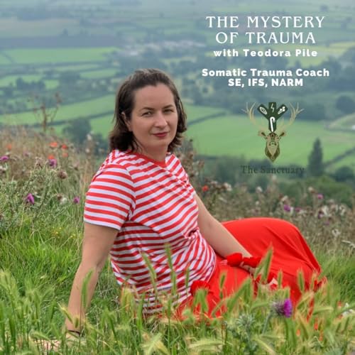 The Mystery of Trauma & Embodied Consciousness Podcast Por  arte de portada