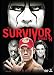 WWE: Survivor Series (2014)