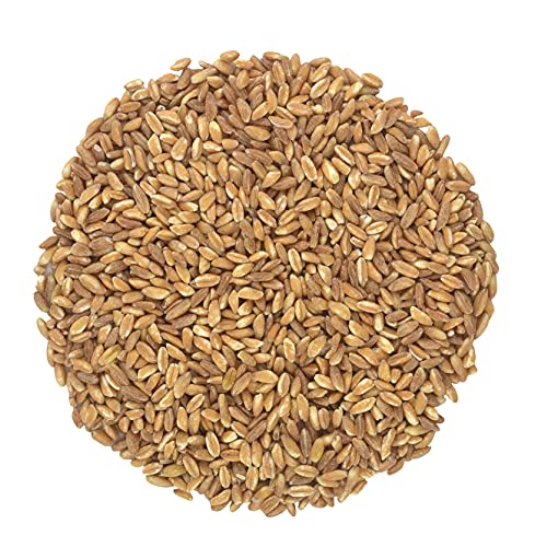 Organic Italian Pearled Farro - Imported, Raw, Non-GMO, Vegan, Bulk,