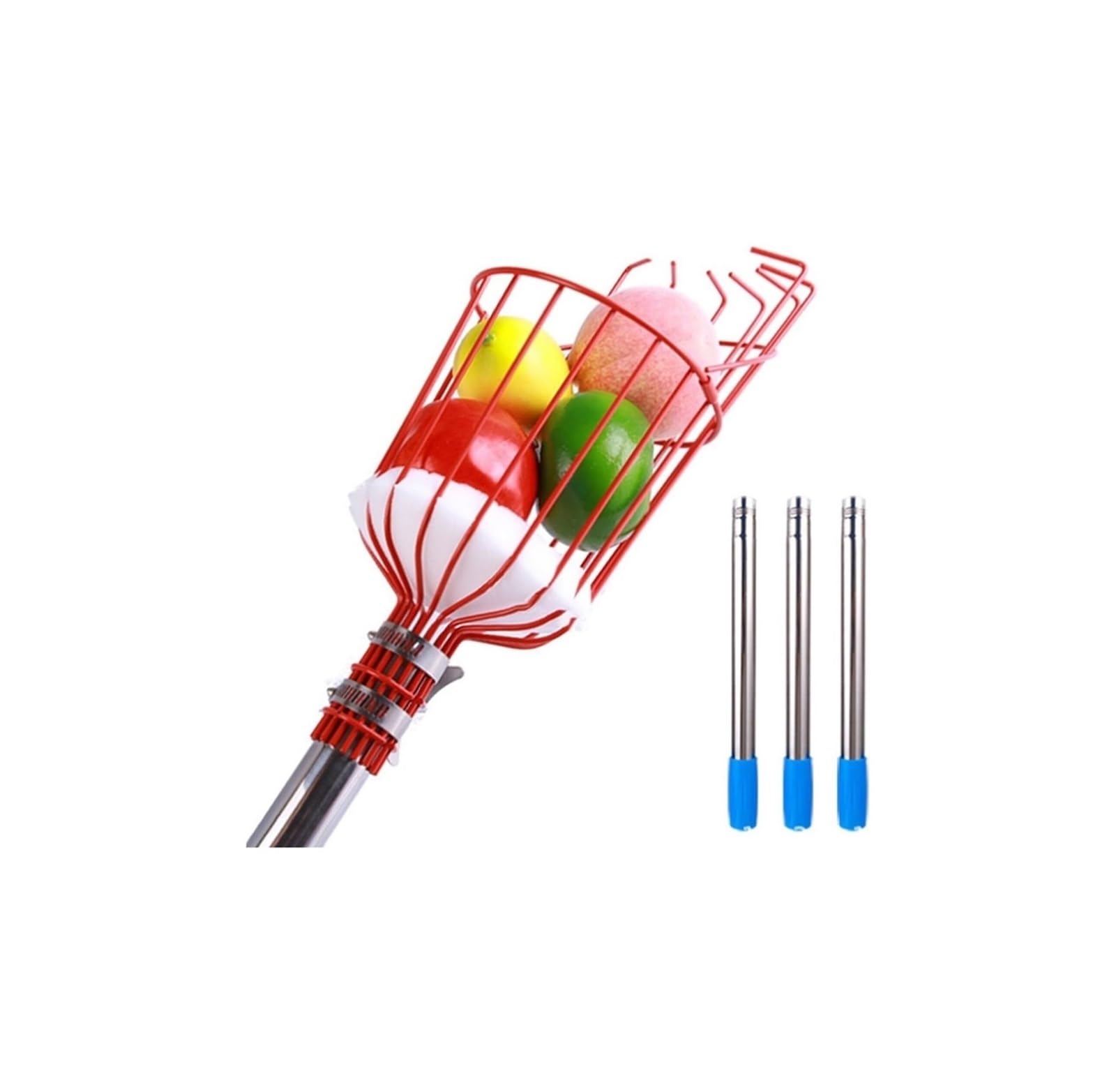 Perche cueille-Fruits, avec Coussinet de Protection en Mousse, cueilleur d'arbres fruitiers Acier Inoxydable for Pomme, Poire, Citron, Orange, Abricot(1.2m)