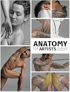 Anatomy for Artists: A Visual Guide to the Human Form