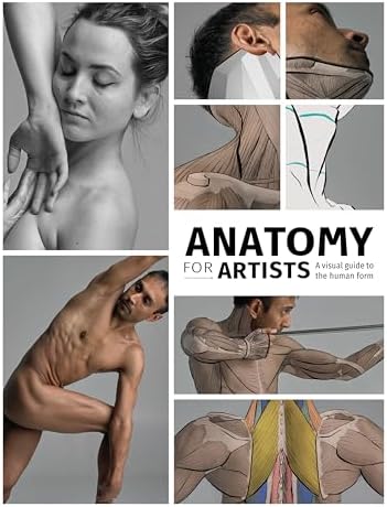 Anatomy for Artists: A Visual Guide to the Human Form