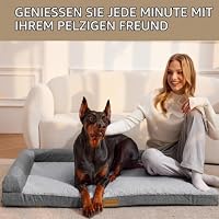 Jolibean Orthopädisches Hundebett Mittelgroße Hunde, 106x71cm,Grau – Ansicht 2