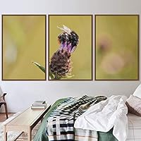3 Piece Framed Canvas Wall Art Colorful Bee Insects Canvas Prints Home Artwork Decoration for Living Room,Bedroom - 16