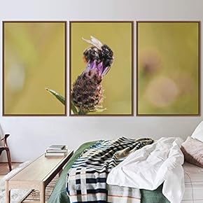 signwin 3 Piece Framed Canvas Wall Art Colorful...