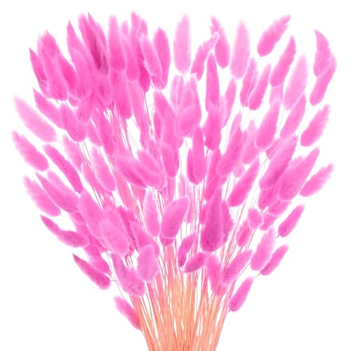 120 unidades de hierba Bunny Tails decorativa seca miniatura 7