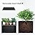 Toriexon 36" Metal Planter Box, Large Rectangular Window Box with Drainage Holes & Rust-Proof Coating, Modern Outdoor/Indoor Flower Box for Balcony, Patio & Herbs, Black