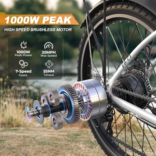 Funhang Electric Bike for Adults