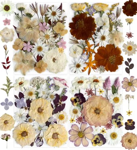 TrendCart Boho 88 Stück echte natürliche getrocknete Blumen 4er-Pack für DIY Resin-Schmuck Scrapbooking Bilderrahmen-Dekoration inklusive 66 Schmetterlings-Stickern und Pinzette