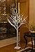 LIGHTSHARE 6 Feet 72L LED Birch Tree Lights, Pack of 2, Warm White, for Holiday Party and Christmas Decoration, Indoor and Outdoor Use