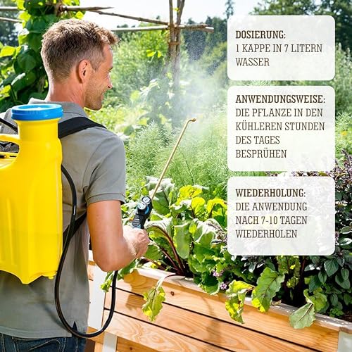 LERAVA Schmierseife flüssig gegen Blattläuse (200 ml) - BIO Schädlingsbekämpfung & Blattglanz - Kaliseife gegen Blattläuse Schildläuse Mehltau - 100% Made in Italy