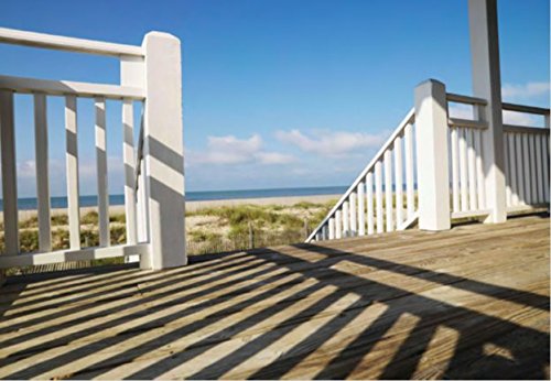 Simpson Strong-Tie T10A300PNJ - 3