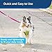 PetSafe Nylon Dog Leash – Strong, Durable, Traditional Style Leash with Easy to Use Bolt Snap for Small, Medium and Large Dogs - 3/4 in. x 6 ft., Raspberry