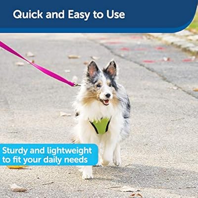 PetSafe Gentle Leader Headcollar, No-Pull Dog Collar, Raspberry Pink & Nylon Dog Leash - Strong, Durable, Traditional Style Leash with Easy to Use Bolt Snap - 3/4 x 6', Raspberry Pink