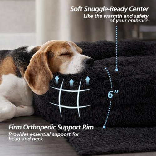 Image of ZEXSAZONE Summer The Round Doughnut pet Bed is Perfect for Indoor Dogs Mat Round Foam Pet Bed | Dog Bed | Cat Bed | Puppies Puppy Bed | Puppies Cooling, Summer cat Bed Black