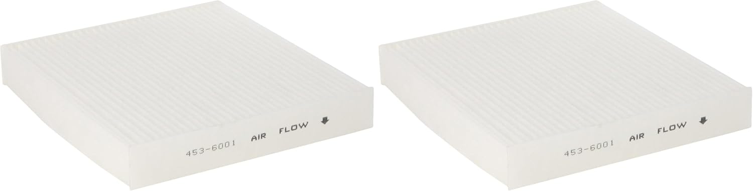 Denso 453-6001 Cabin Air Filter (Pack of 2)