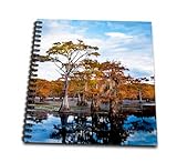 12 x 12 inches spiral bound glossy hard covered 1 inch twin loop wire binding spine 35 unlined pages, 11.4 x 11.2 inches - page thickness is 63lb cover Acid free blank bright white non-coated paper Pages lay flat when book is opened