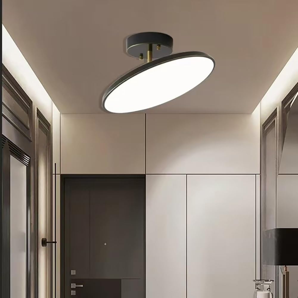 Nordycka Okrągła Lampy Sufitowa LED, Obracana Głowica Mała Lampy Sufitowe Niski Profil Minimalistyczne do Korytarza Przedpokoju(Black(6000K),20cm/7.87in)
