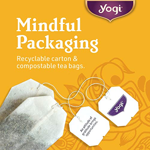 Yogi Tea - Blackberry Apple Cider Digestive Awakening (4 Pack) - Supports Healthy Digestion With Acv, Ginger Root, And Licorice Root - Caffeine Free - 64 Organic Herbal Tea Bags #TOP6