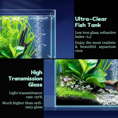 Image of LAQUAL 2 Gallon Fish Tank Starter Kit with Fish Net, 1 Water Changer Siphons & 2 Cleaning Cloth, Crystal Clear Glass Fish Tank, Small Fish Tank /Aquarium for Betta & Goldfish, Nice Home Decor