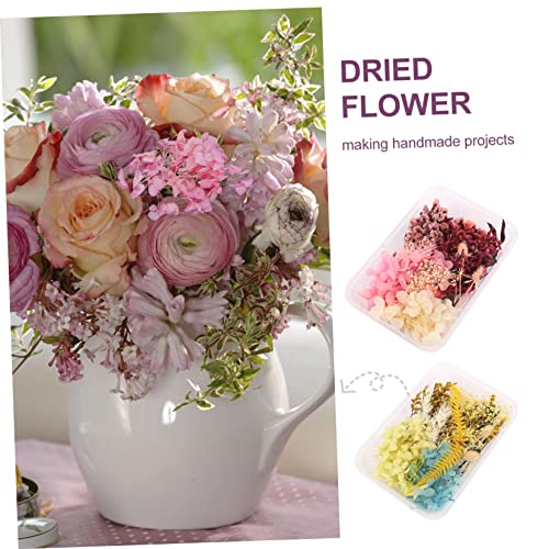 EXCEART 9 Pacotes Kit De Flores De Para Flores Secas Para Resina Kit De Decoração De Flores Secas Ki