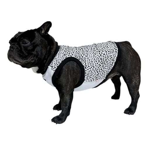 D DOGGY STAR tu qE ^Ngbv Ip[h ^ ^ t`uhbO pO t  hbM[X^[ (Cgx[W, 2XL)