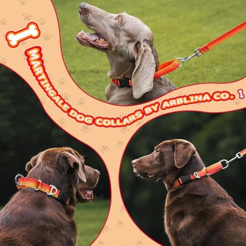 Arblina Martingale Hundehalsband, Reflektierendes Zugstopp Halsband Hunde für Große Mittlere und Kleine Hunde, Nylon Zughalsband mit Stopp für Hunde Whippets, Greyhounds, Saluki, Orange,L