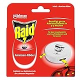 Raid (Paral) Ameisen Köder-Dose für den Innen und Außenbereich, 1er Pack (1 x 43g)