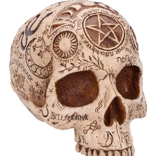 Nemesis Now Ltd Statuetta decorativa a forma di teschio da farmacista, gotico occulto
