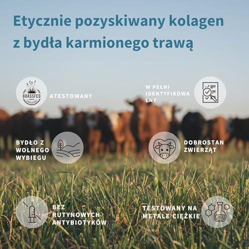 Pure & Essential Hydrolizowane peptydy kolagenowe, kolagen w proszku z bydła karmionego trawą, certyfikowany w 100%, zaawansowana formuła, łatwe mieszanie, 40 porcji