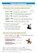 KS3 English Study Guide
