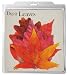 EuroQuest Imports Fall Deco Parchment Leaves, Package of 20