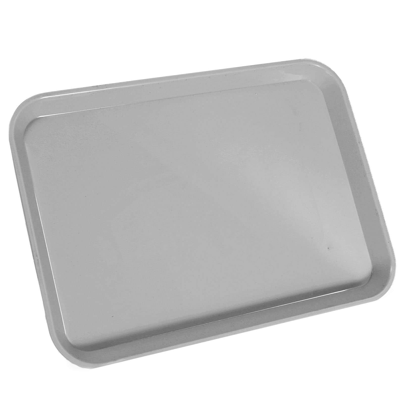 1Pcs Autoclavable Dental Procedure Tray Lockable Set up Flat Trays Size B (Ritter),Plastic Instrument B-Lok Flat Trays, 13.25 x 9.75X 0.875 Inches (1, Loyal Gray)