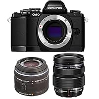 Algopix Similar Product 17 - Olympus OMD EM10 16MP Mirrorless