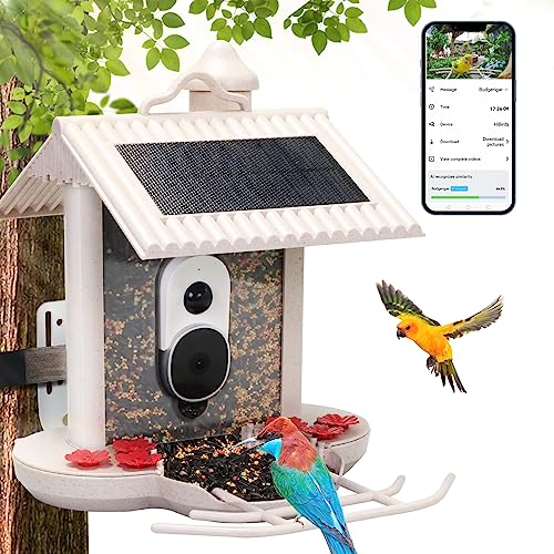 Bird Buddy Hummingbird Feeder With Camera 2023 Vet Ranch We Love Pets