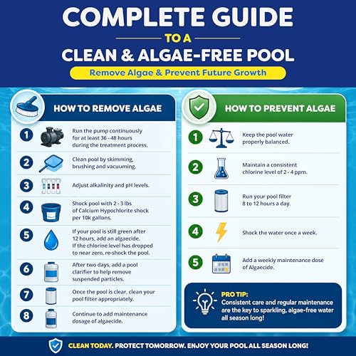 Image of In The Swim Algaecide 60 Plus for Swimming Pools - 1 Quart
