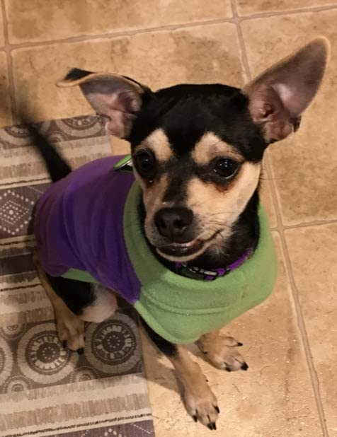 Image of Gooby Half Stretch Fleece Vest Dog Sweater, Purple, Small | Soft warm fleece; Stretch fleece bottom; Two-tone colors; Back D-ring for short walks