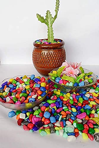Multicolor 12 Pebbles Stones for Plants Pots, Aquarium/Fish Tank, Garden, Decoration, Table and Home Decor, Vase Fillers (250 Grm)_B44-image-46