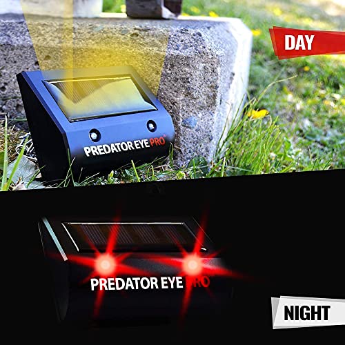 ASPECTEK Predator Eye PRO - Solar-Powered Predator Light with Kick Stand, 4600 Sq. Ft. Coverage for Night-Time Animal Control and Pest Repeller, 2 Pack